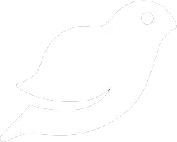 bird_white